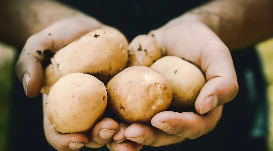 Batatas têm um efeito positivo na saúde dos homens